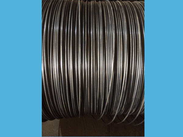 �������ҵĲ�Ʒ����Щ���ƣ�